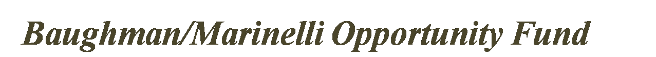 Baughman/Marinelli Opportunity Fund Logo